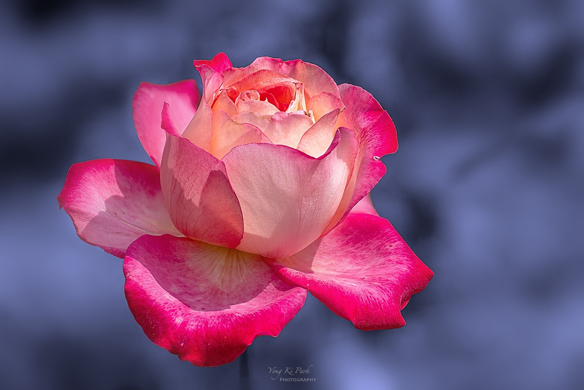 130_3898-3902-st-m-s-At the arboretum-3.jpg