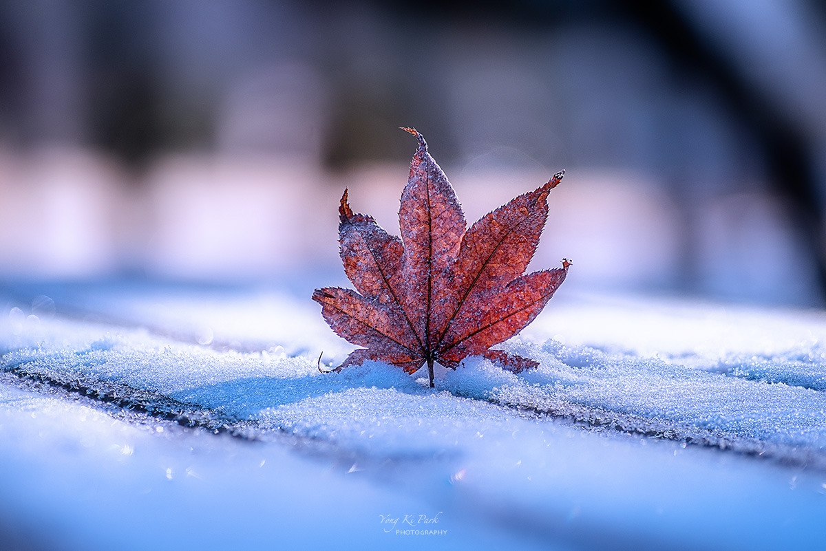 128_1878-87-st-s-Winter morning-4.jpg