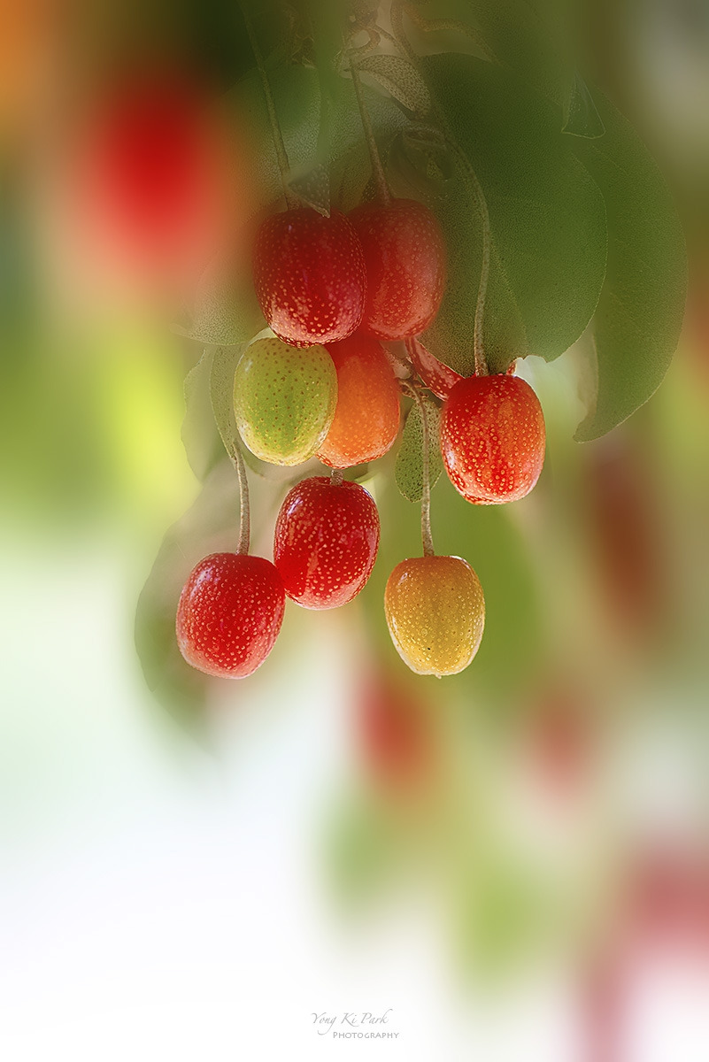 136_3133-39-st-m-s-In the summer garden-16.jpg