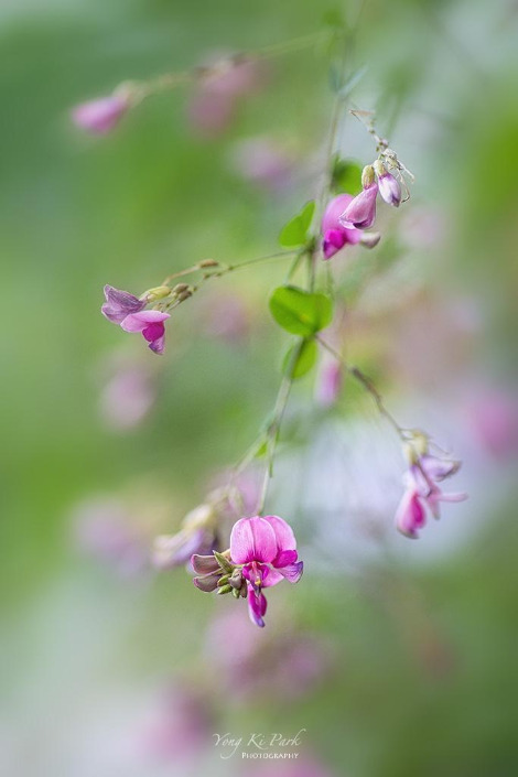 119_5836-s-Poem of September-5.jpg