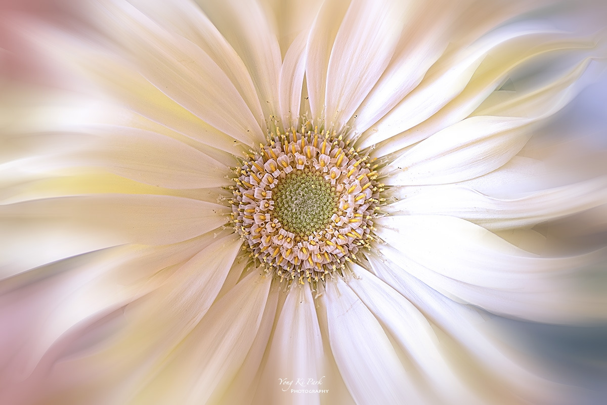 133_3682-87-st-s-Beginning of 2025.jpg