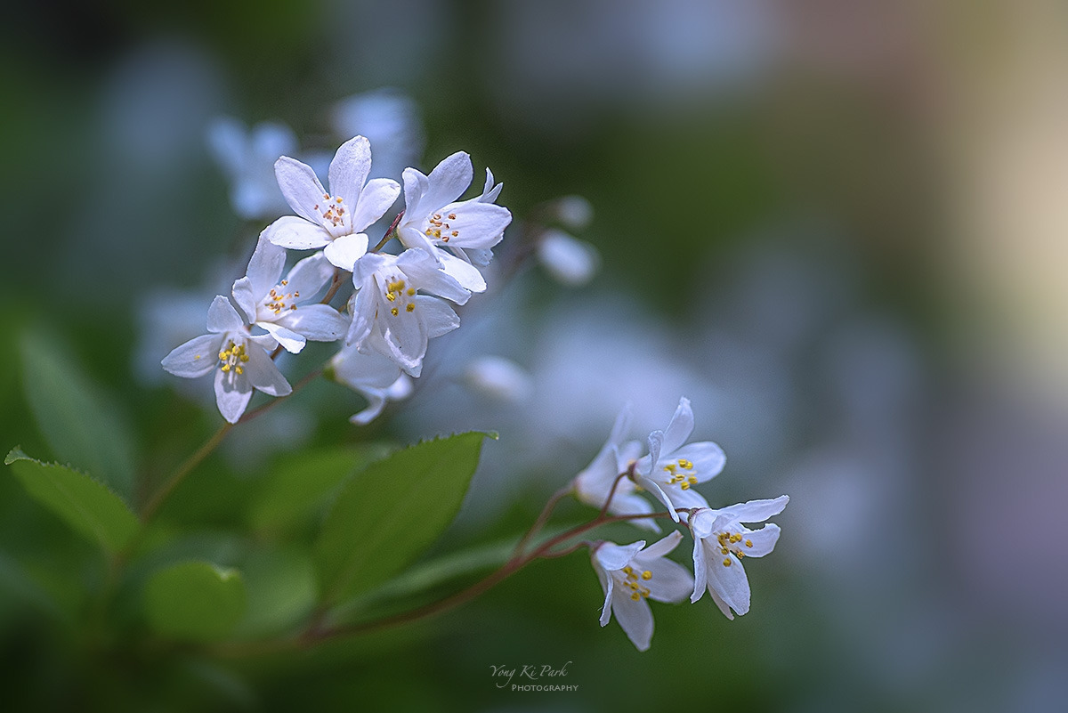 135_7673-77-st-s-In the forest-6.jpg