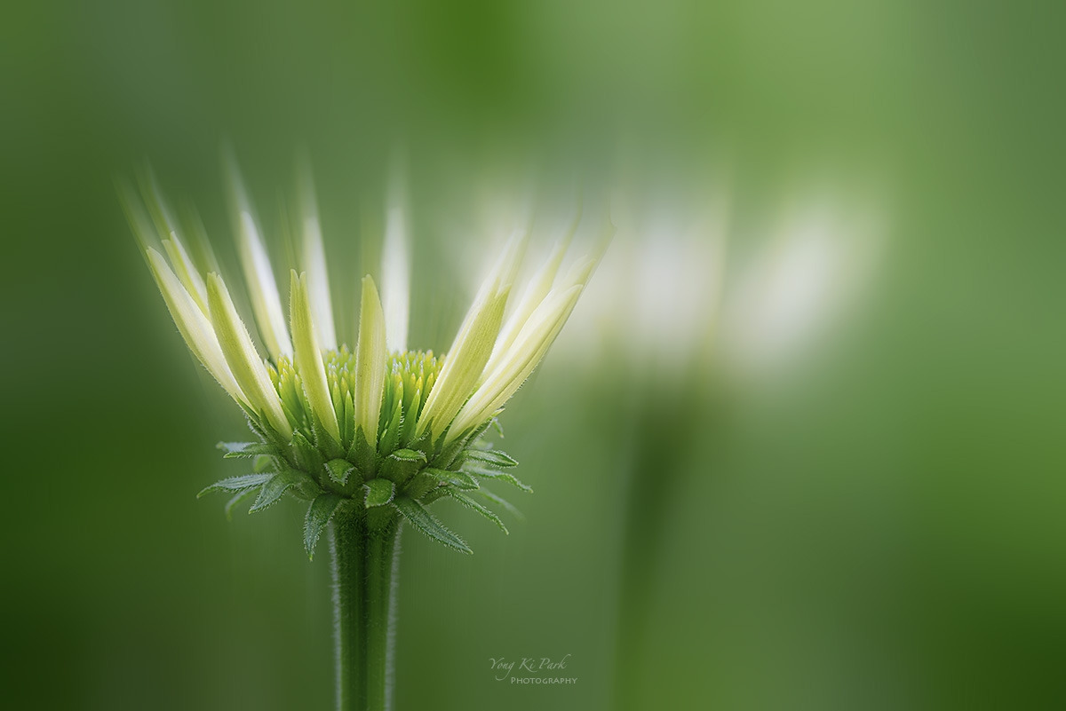 136_5771-75-st-m-s-Sleep in the garden-11.jpg