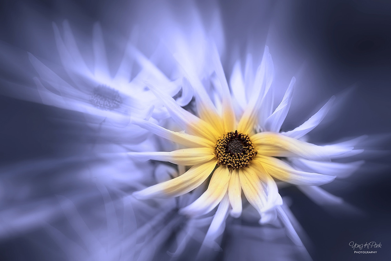 115_4299-m-2-s-A precious moment of autumn-23.jpg