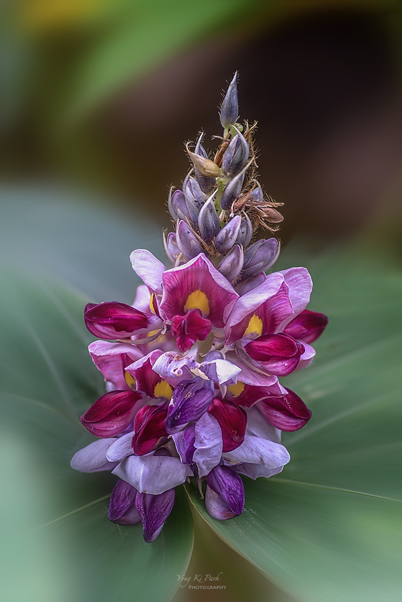 132_0726-30-st-m-s-Feelings of autumn-10.jpg