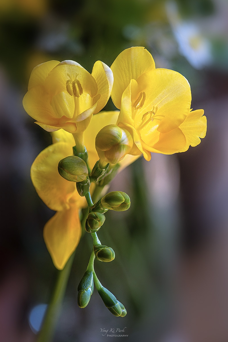 124_2396-2407-st-s-Spring again-13.jpg