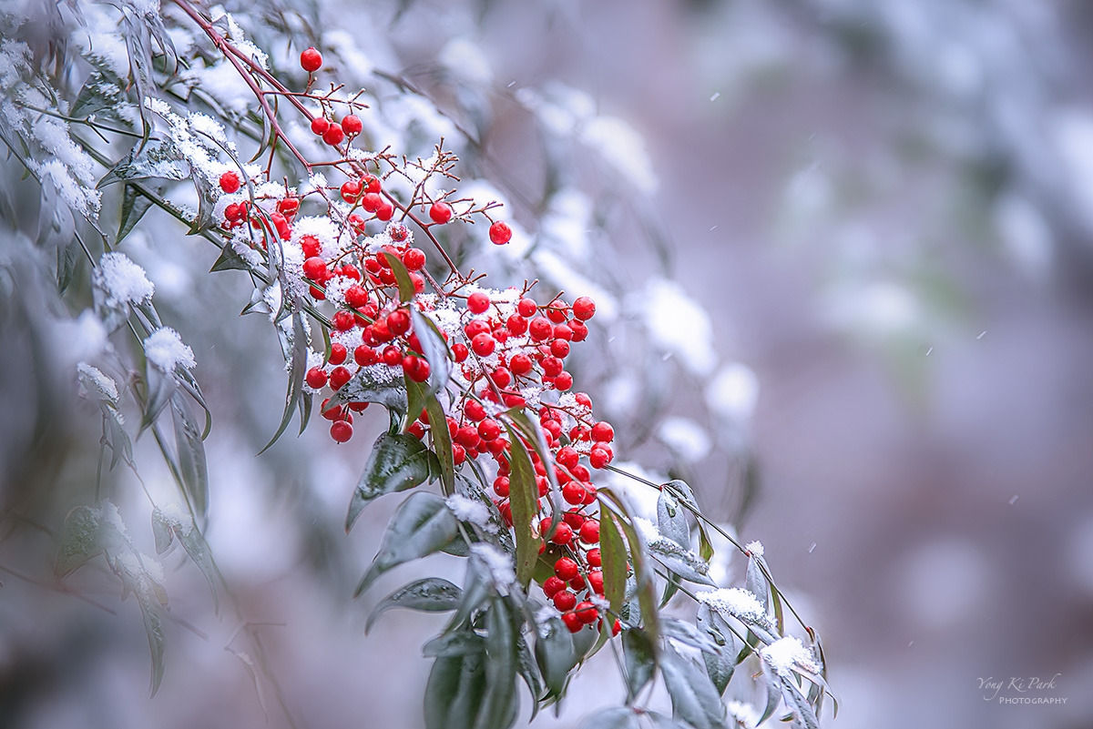 133_5749-54-st-s-Winter story-10.jpg