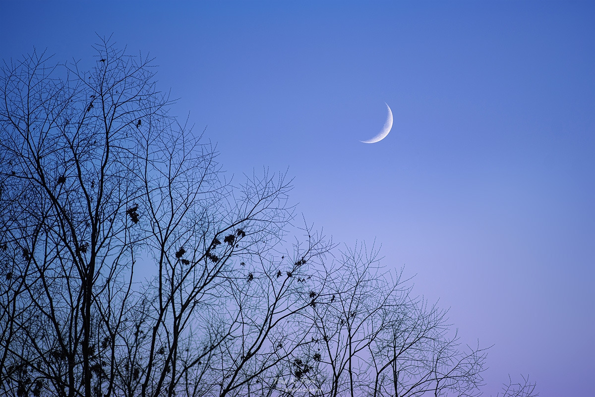 124_0182_89-st-2-s-Winter moon-2.jpg