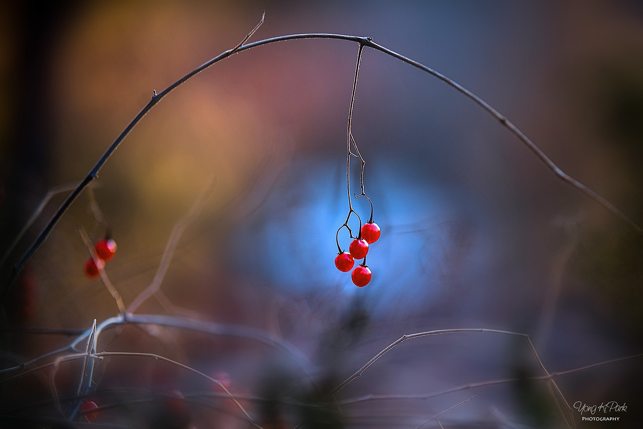 116_0986_87-st-s-Winter love-4(2019).jpg