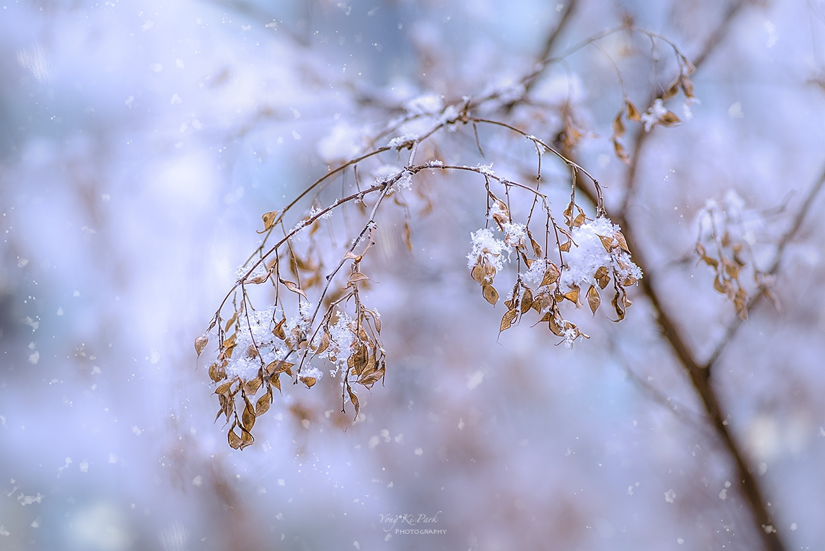 128_2904-08-st-s-Winter morning-9.jpg