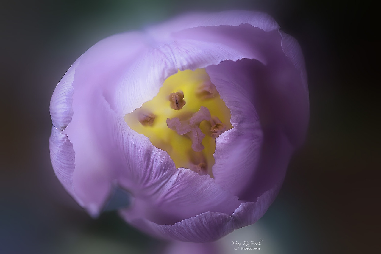 109_8175-80_91-99-st-c-2022-s-Spring, spring, spring-4.jpg