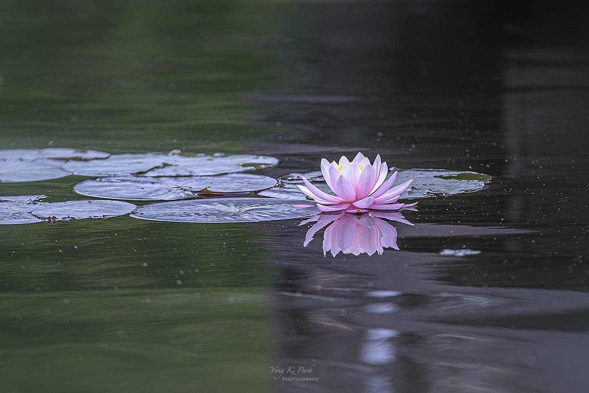 125_7711-F-s-A walk in the garden-13.jpg