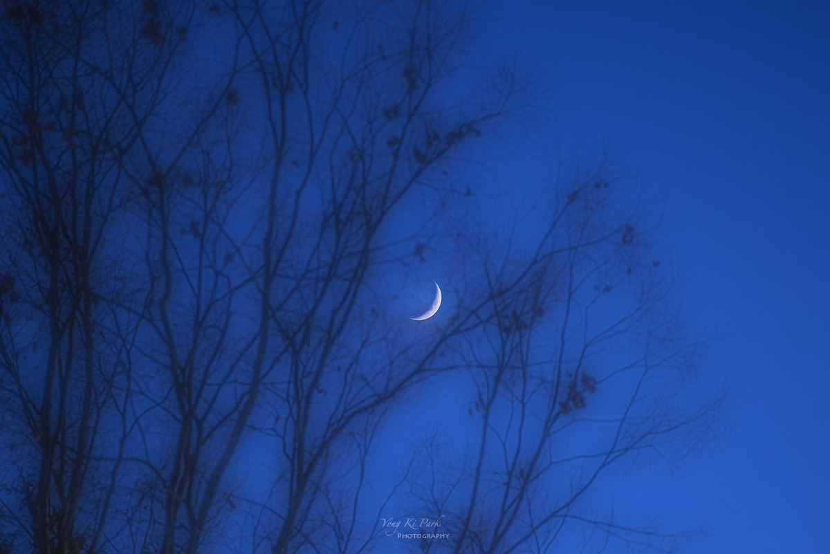 124_0195_123_0189-st-m-s-Winter Reflections-6.jpg