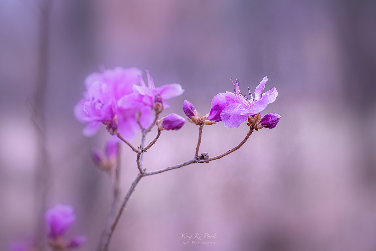 120_8788-s-At spring-5.jpg