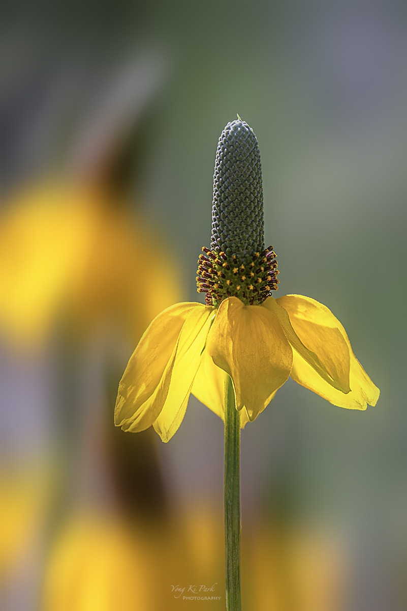 136_5129-32-st-m-s-Sleep in the garden-8.jpg