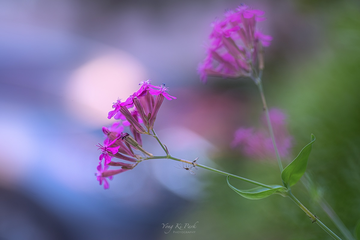 121_4505-s-Where my eyes-20.jpg