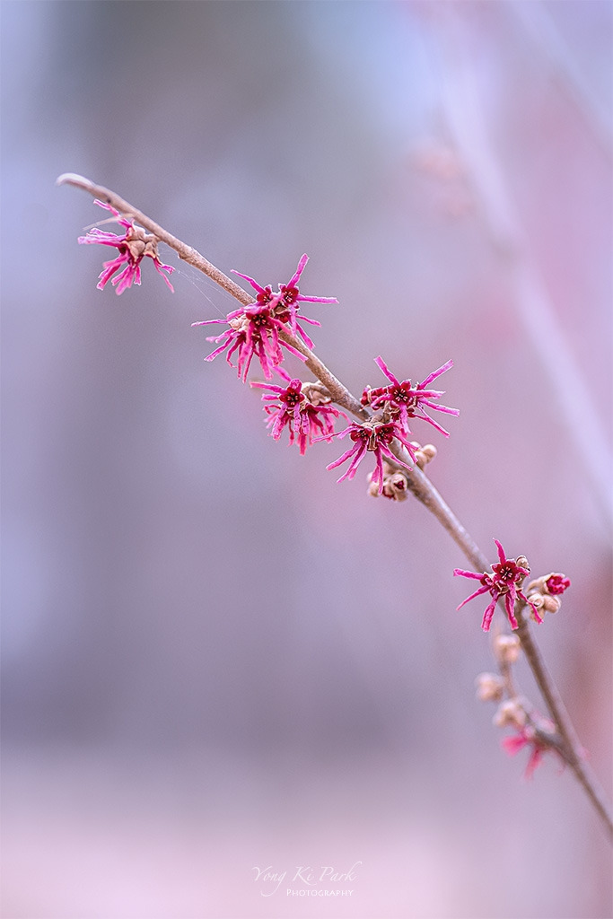 120_7637_39-st-s-It's spring-9-3.jpg