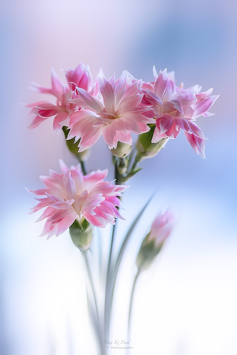 133_7607-12-st-m-s-Waiting for spring-2025-17.jpg