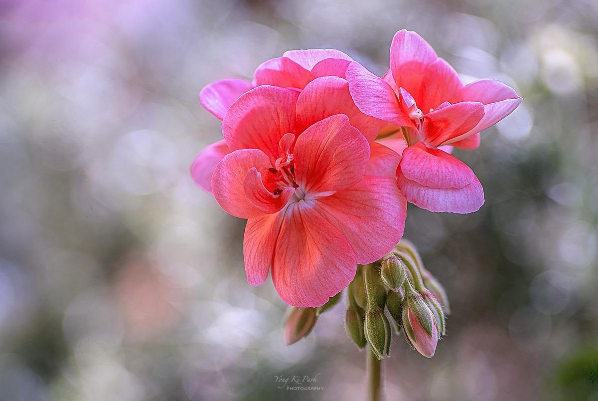 133_8479-84-st-s-Waiting for spring-2025-16.jpg