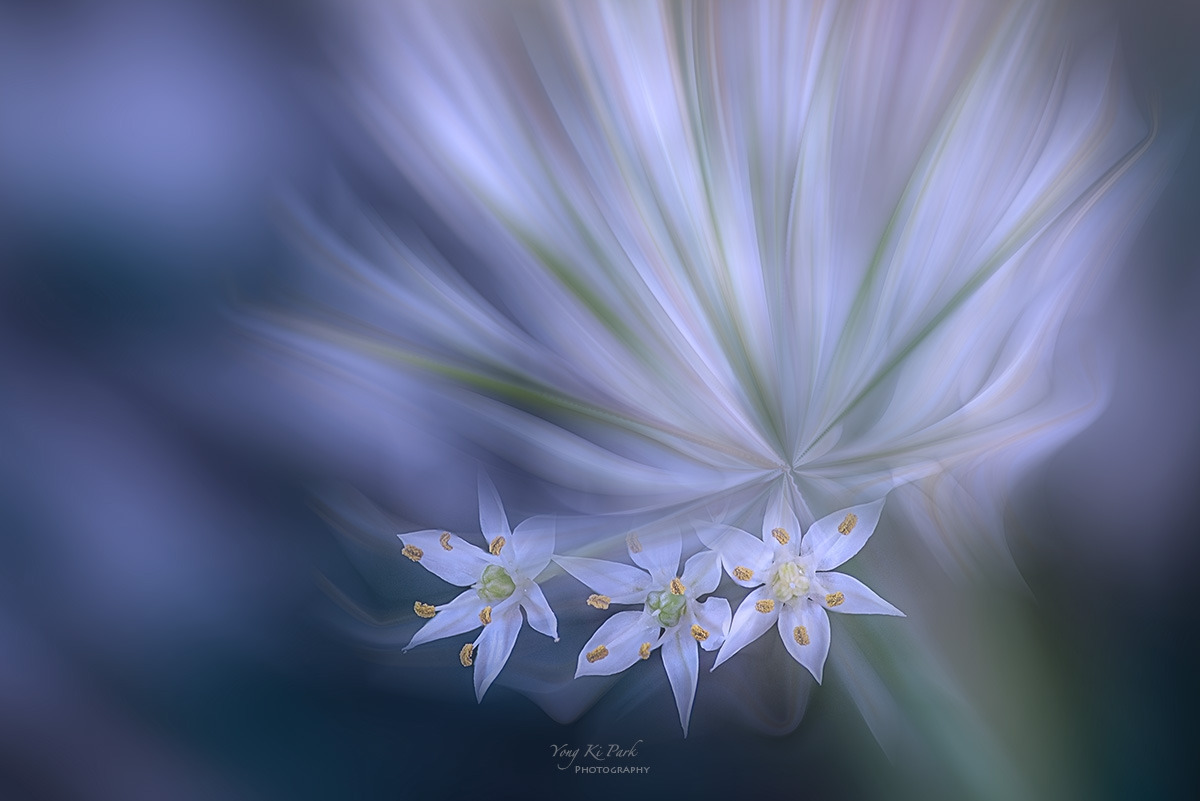 126_9167-77-st-m-s-End of summer 2023-4.jpg