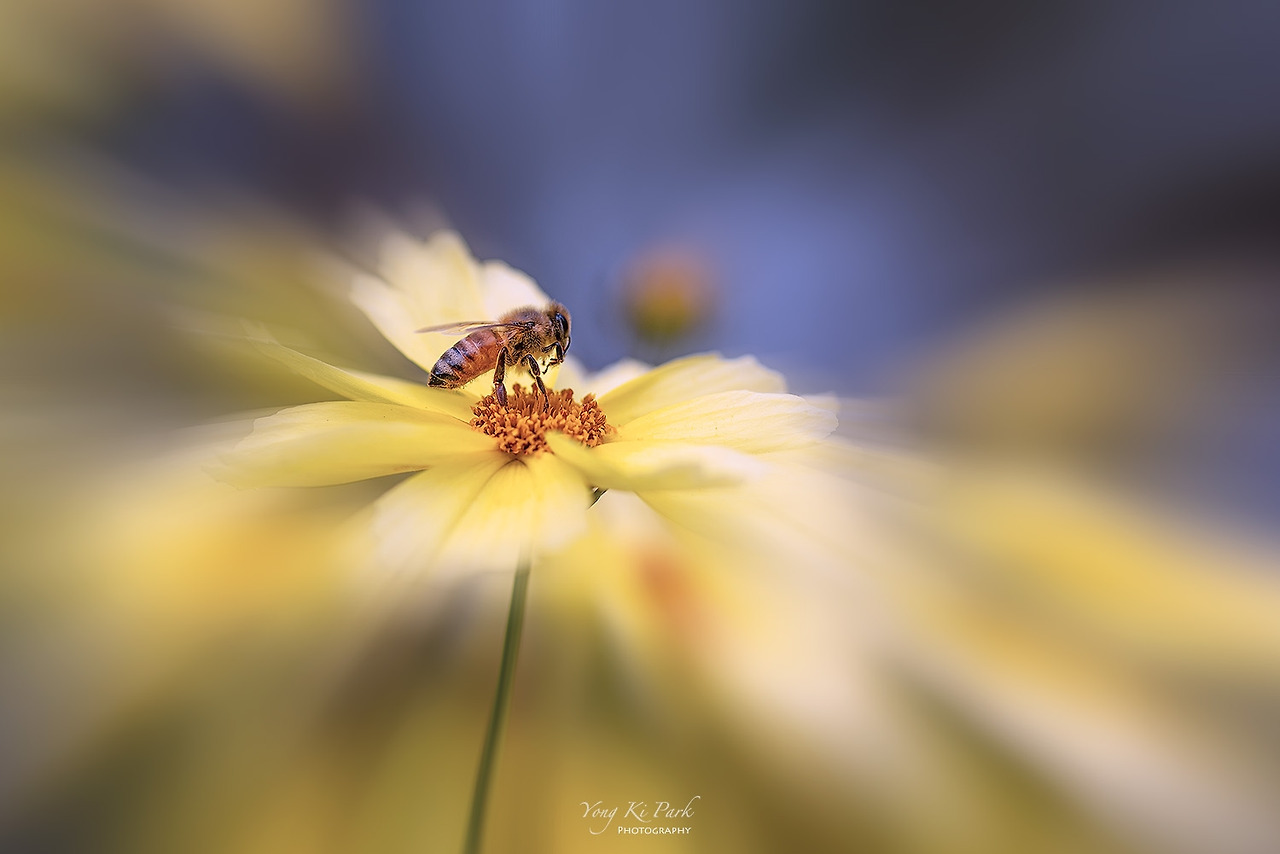 119_1341-s-Impression of June-8.jpg