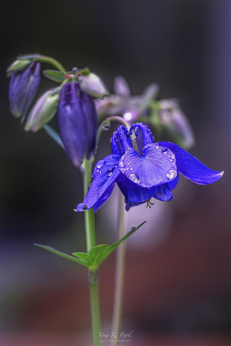 121_1043_42-st-s-So spring has come and is going-11.jpg