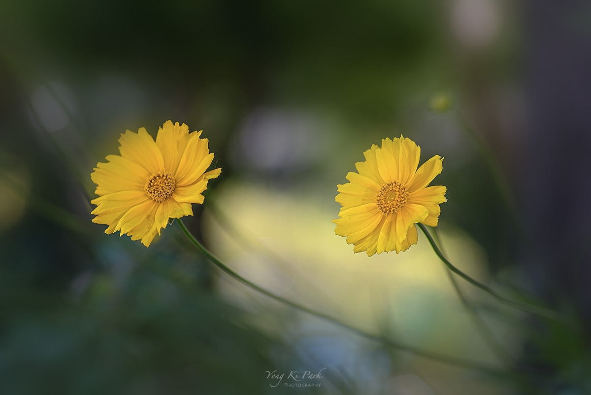 121_4520_21-st-s-Where my eyes-19.jpg