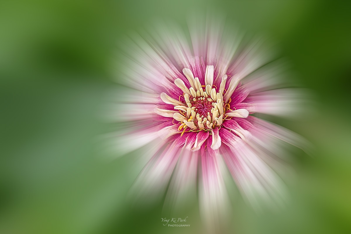 131_4113-16-st-m2-s-Summer 2024-8.jpg