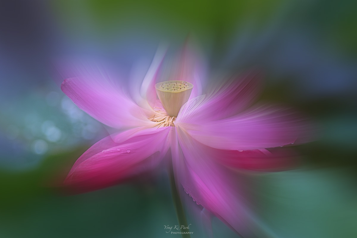 126_5551-54-st-m-s-A rainy day-10.jpg