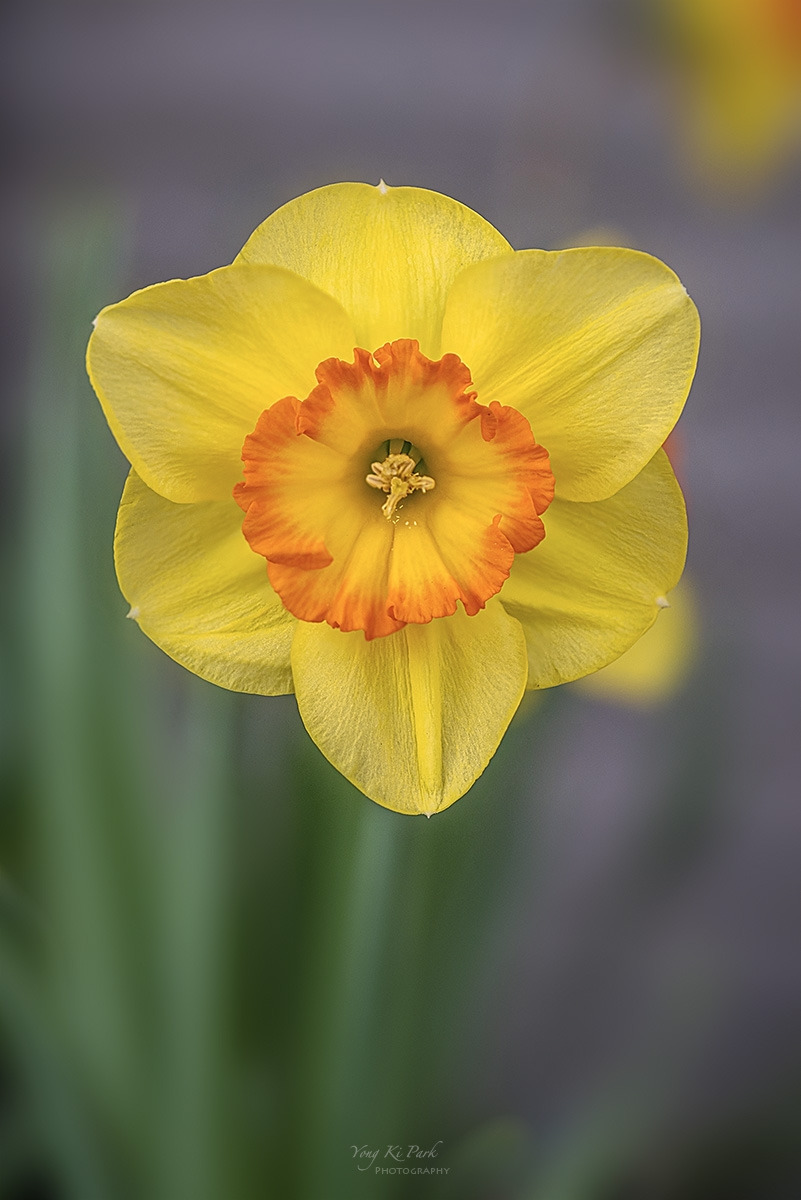 134_9952-56-st-s-Spring that came to me-28.jpg