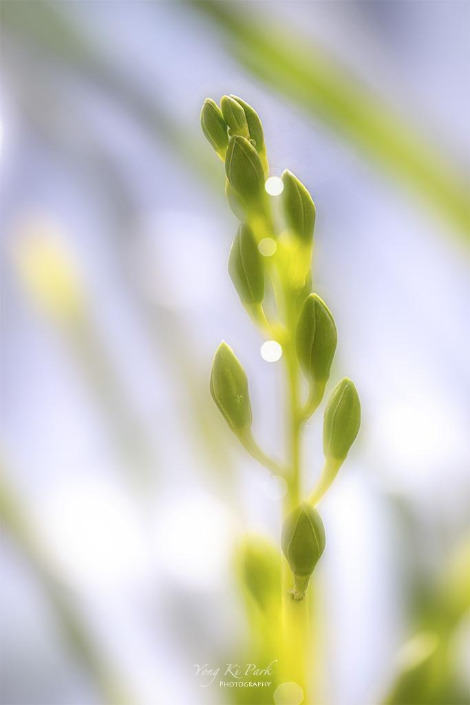 120_5127-45-5126-st-s-A preview of spring-2.jpg