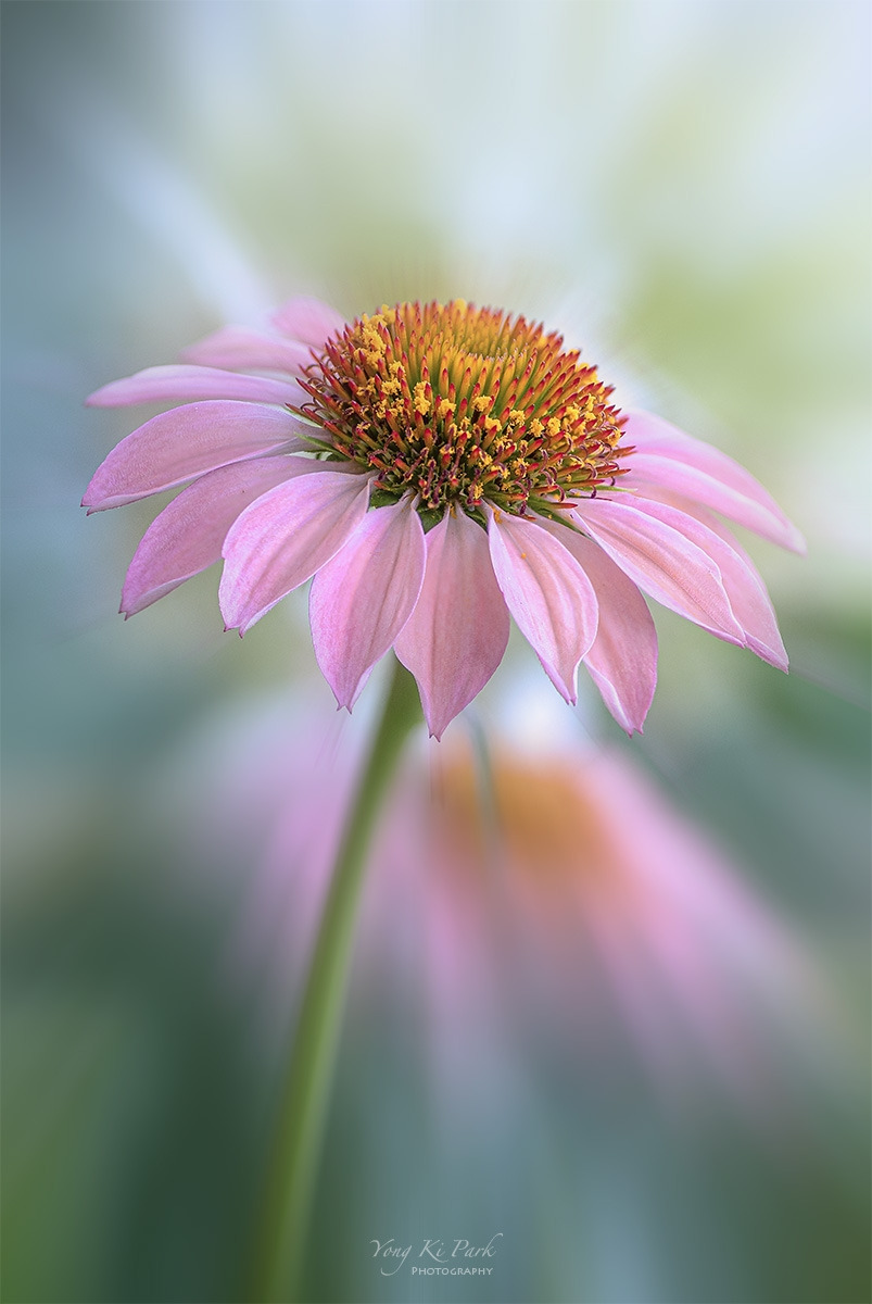 121_7748-51-st-s-Made in nature-10.jpg