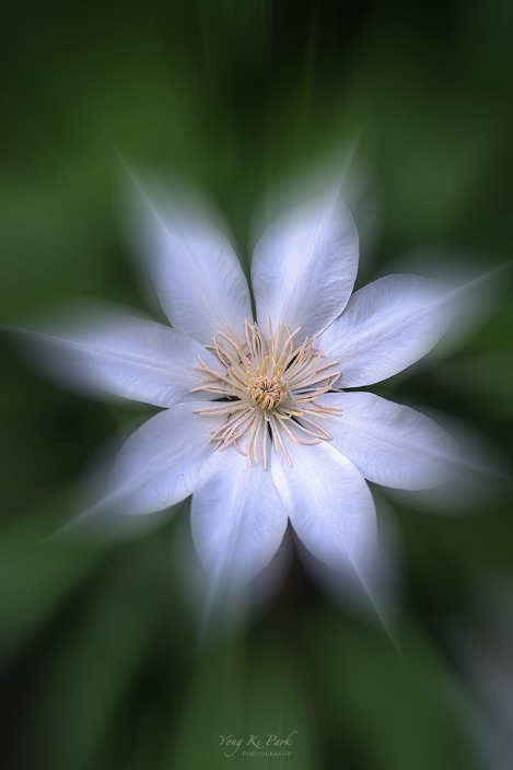 121_3027-m-s-Where my eyes stay-7.jpg