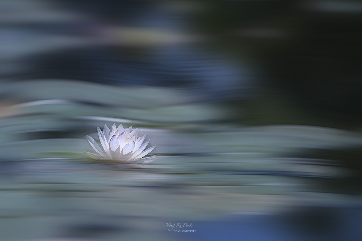 131_1029-F-m-s-Summer 2024-5.jpg