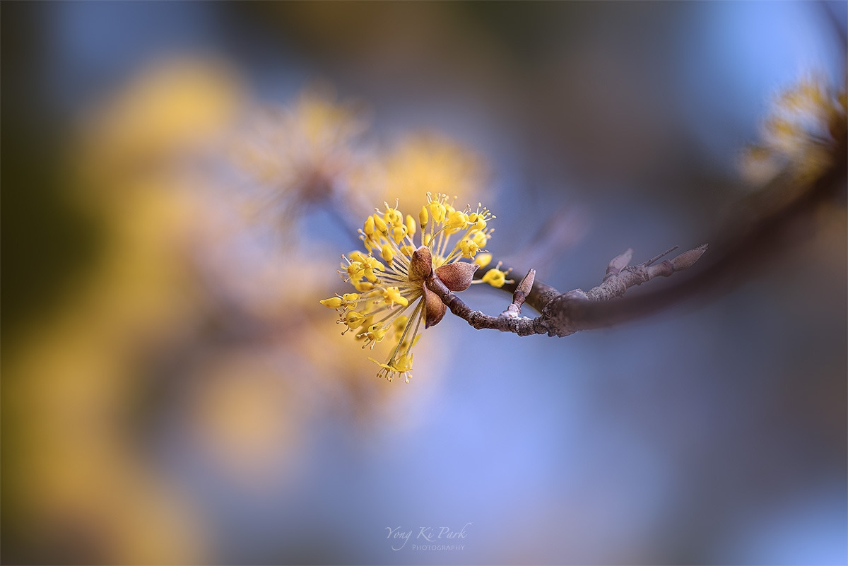 120_8853-55-st-s-At spring-4.jpg