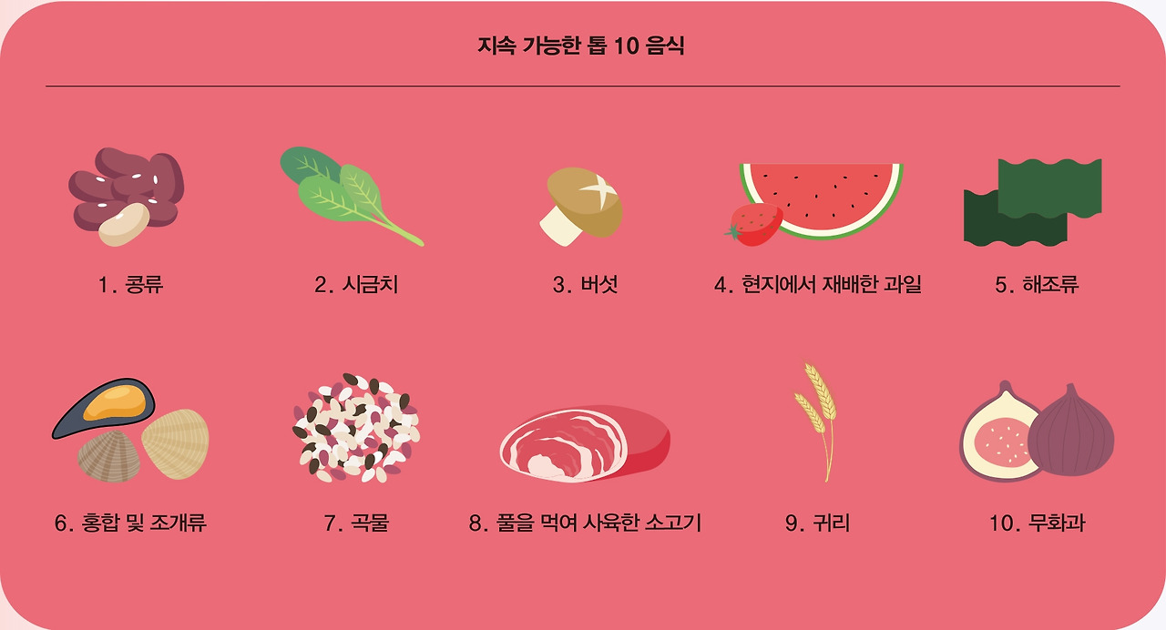 KRISS_2023_겨울호_지속가능한 톱10식품.jpg