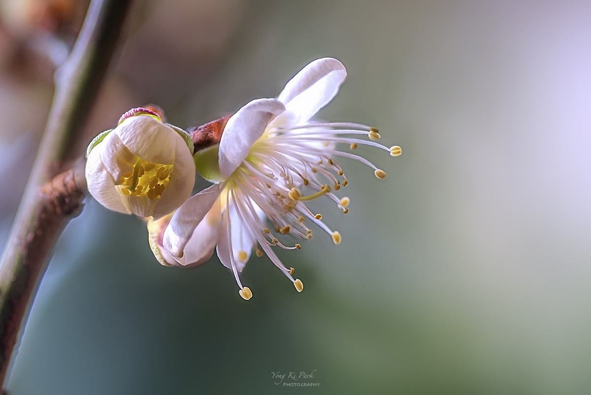 128_5047-58-st-c-s-Beginning of spring-6.jpg