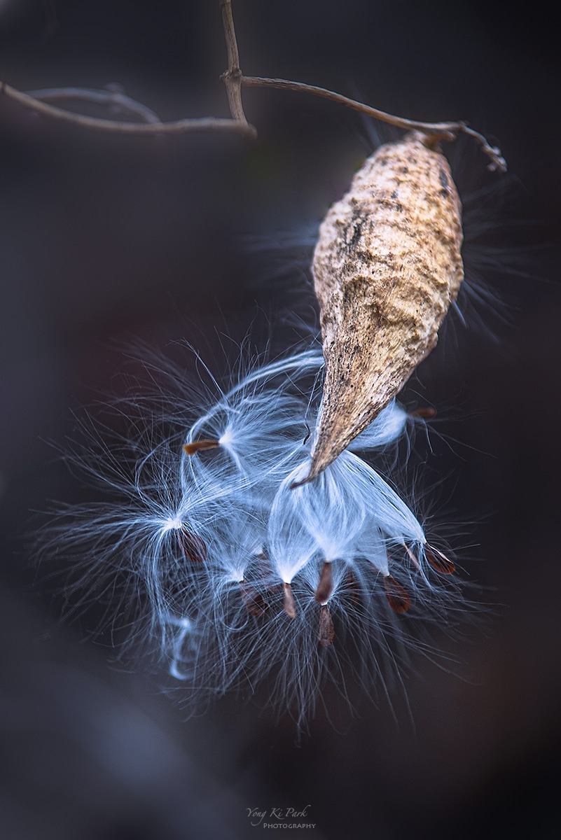 123_6364-s-Winter life-13.jpg