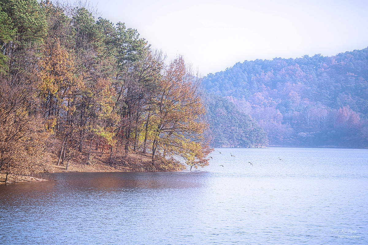 137_9956-F-s-Autumnal lyricism-18.jpg