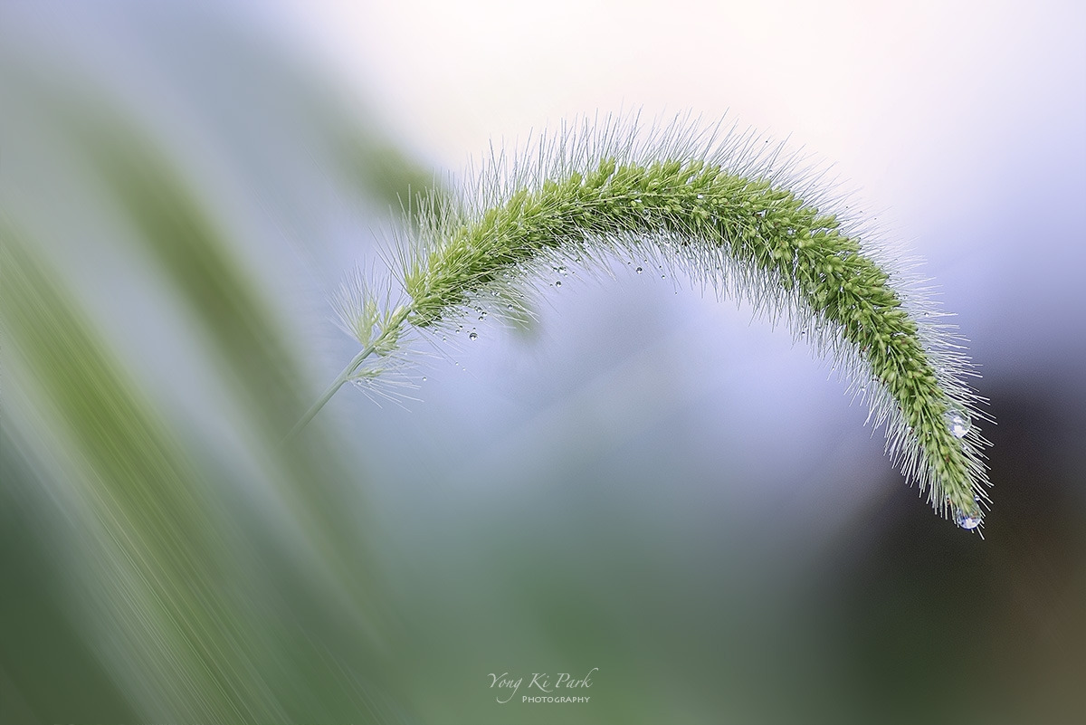 122_0083-87-st-c-m-s-Summer garden-36-2.jpg