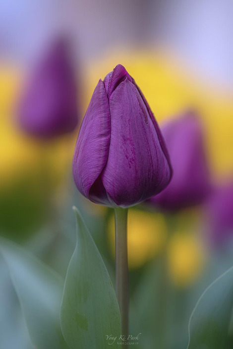 121_0045-s-At spring-20.jpg