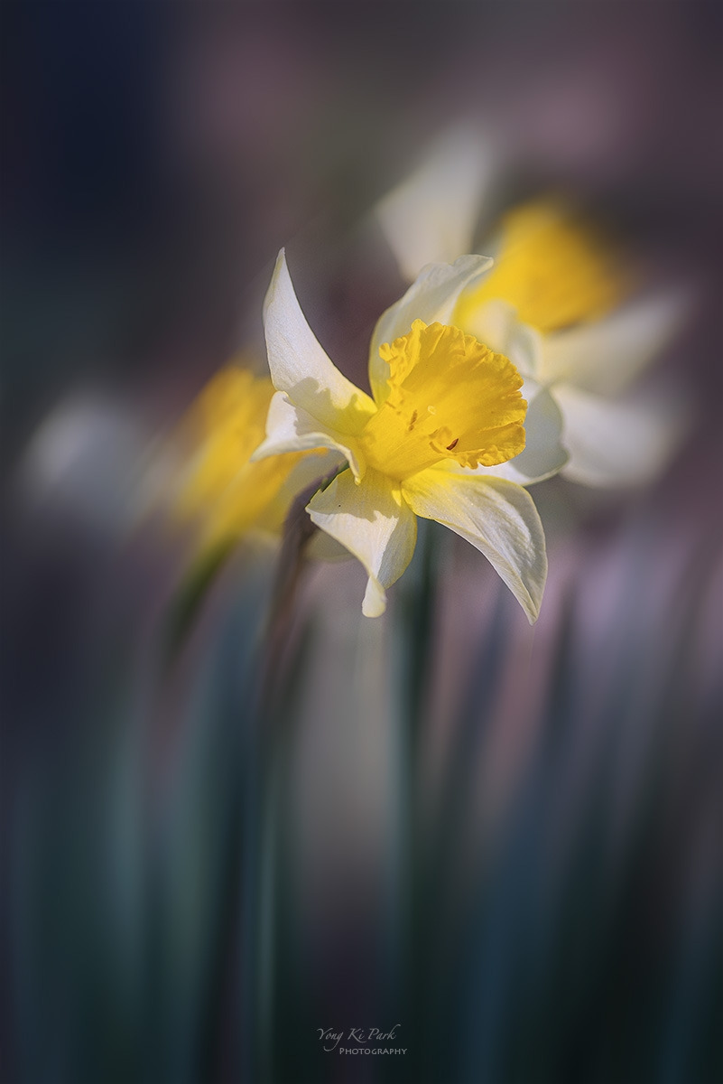 125_2022-F-m-s-The spring there-2023-11.jpg