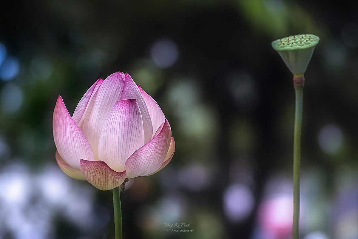 126_7755_57-st-s-2023 summer story-11.jpg