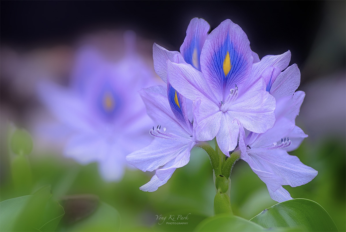 121_8254-59-st-s-Made in nature-15.jpg