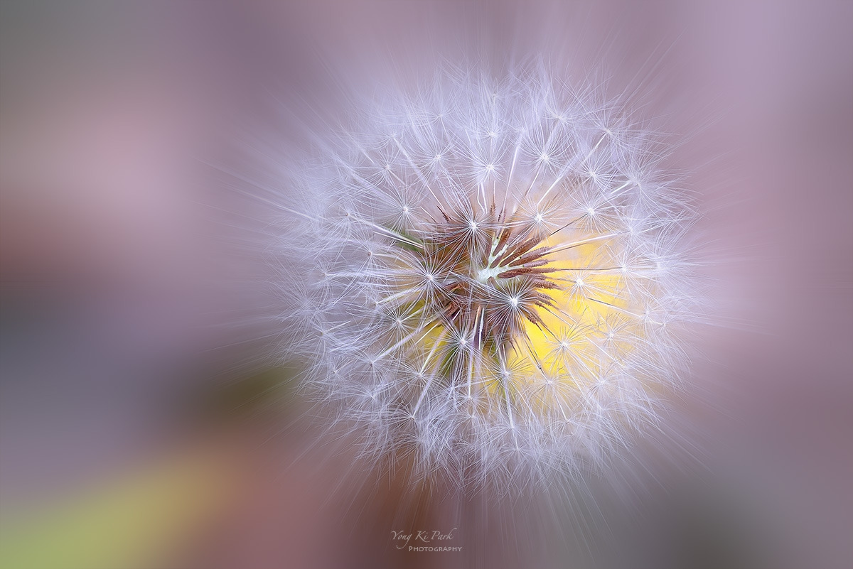 124_9851-62-st-m-s-The spring of the town-2023-4.jpg