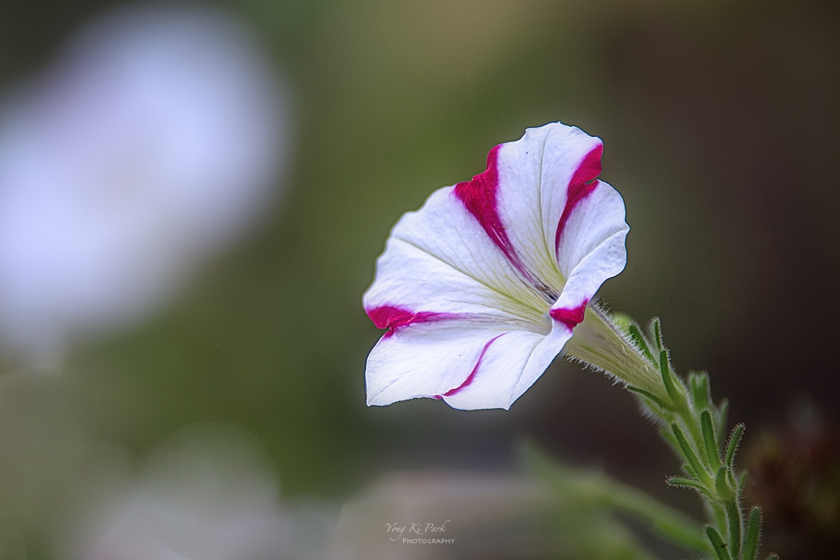 126_4283-87-st-c-s-2023 summer story-21.jpg