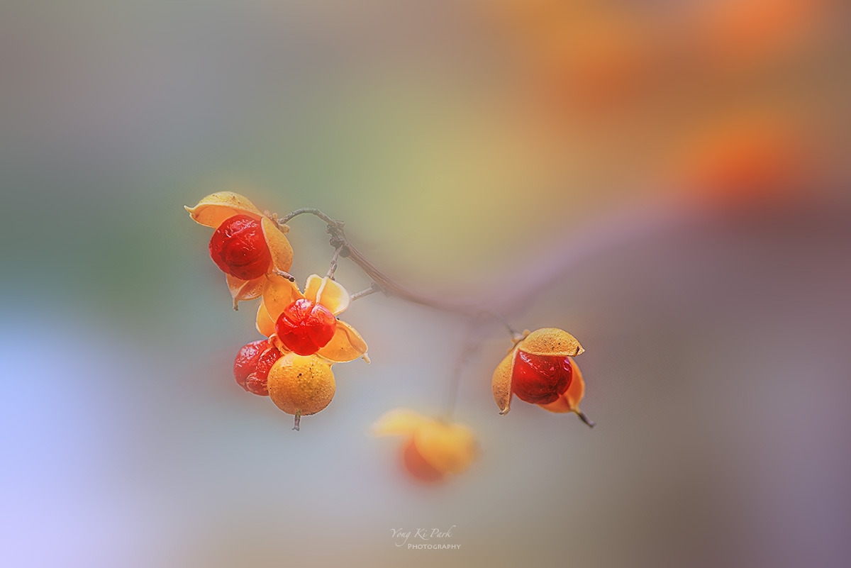 132_9962-68-st-m-s-Touch of autumn-2024-12.jpg