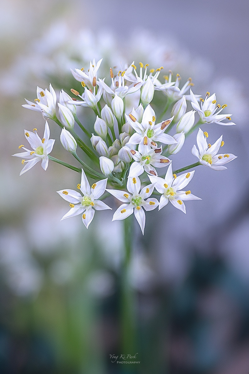 126_9189-99-st-s-End of summer 2023-3.jpg