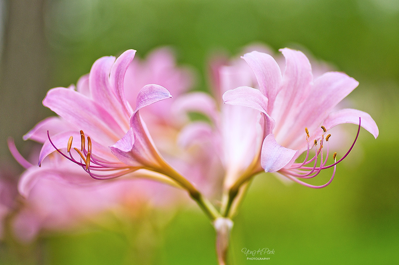 303_3115-Love is-s.jpg