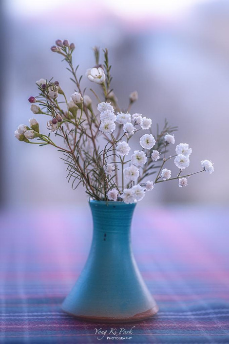 120_5658-s-A preview of spring-14.jpg